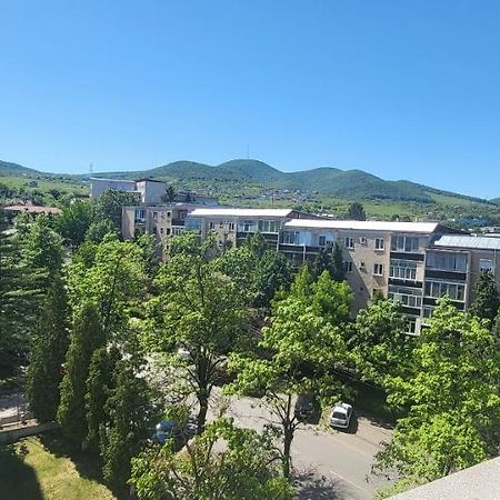 Apartament In Regim Hotelier Deva Eksteriør billede